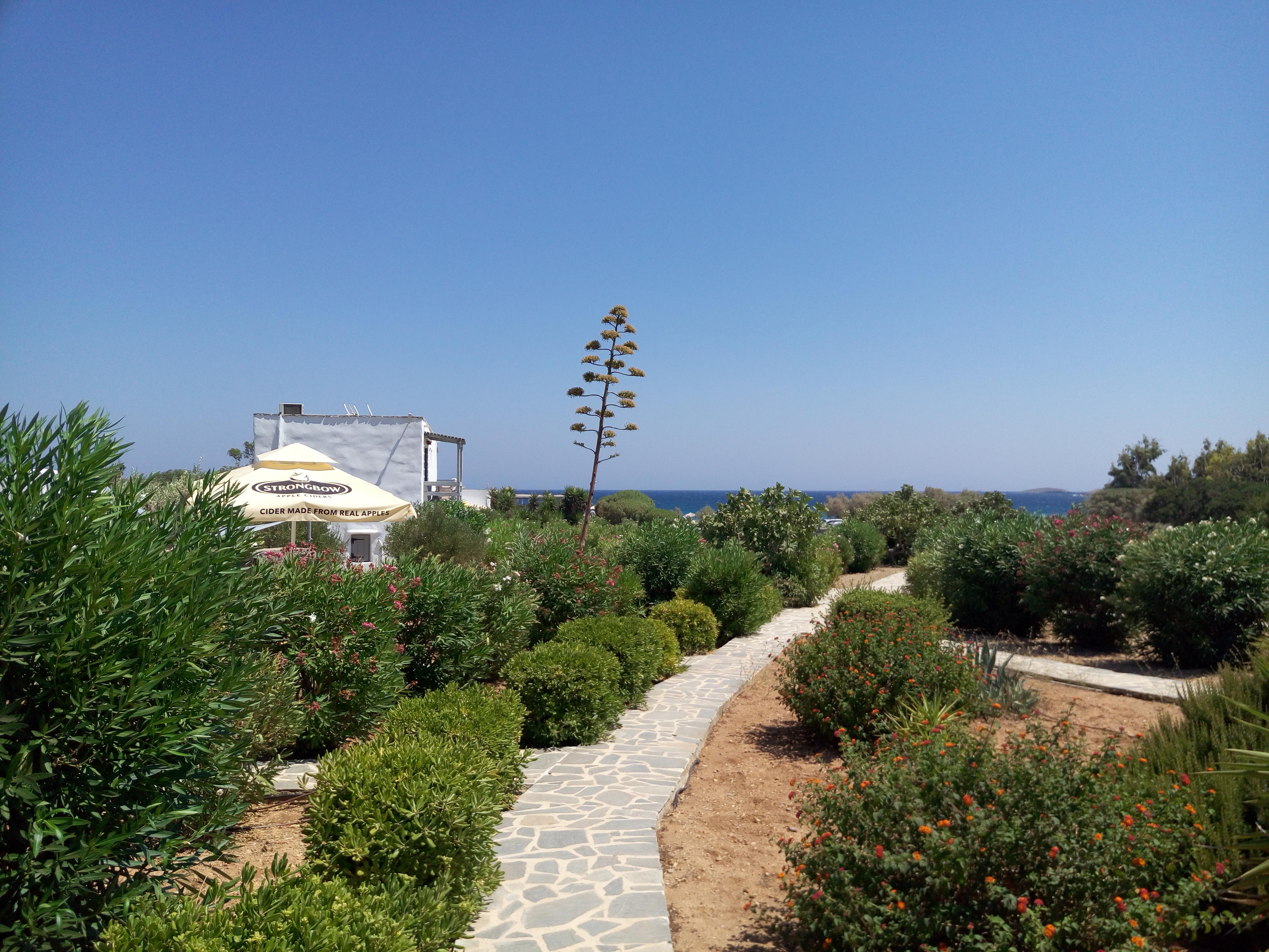 Soros Beach Antiparos Agios Georgios  Exterior foto