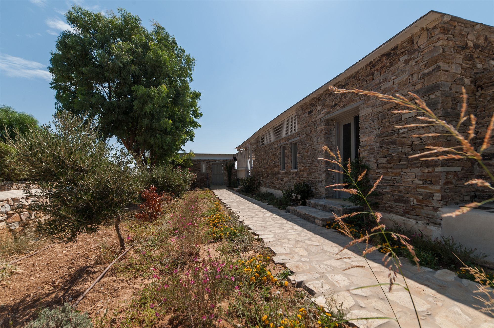 Soros Beach Antiparos Agios Georgios  Exterior foto
